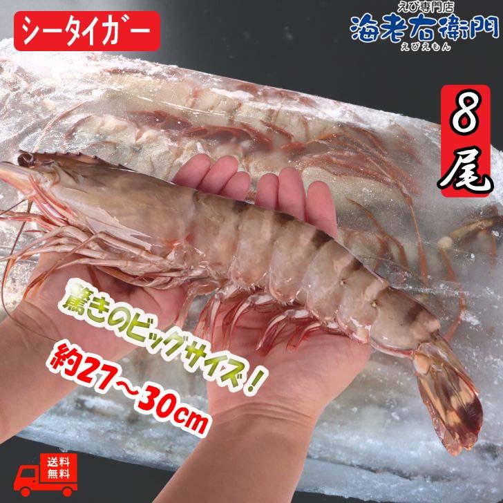 シータイガー 有頭 特大 冷凍エビ 超超特大 船内凍結の高い鮮度 エビ 天然有頭シータイガー 1.5kg 8尾サイズ 海老 冷凍えび 業務用 |  | 18