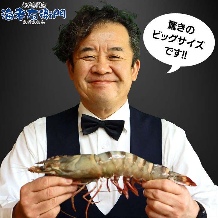 シータイガー 有頭 特大 冷凍エビ 超超特大 船内凍結の高い鮮度 エビ 天然有頭シータイガー 1.5kg 8尾サイズ 海老 冷凍えび 業務用 |  | 06