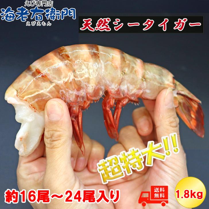 超超超特大サイズ 約16尾〜24尾入り 4/6サイズ 天然シータイガー 無頭えび 1.8kgです。 特大 巨大 高級 天然ブラックタイガー 業務用 |  | 02