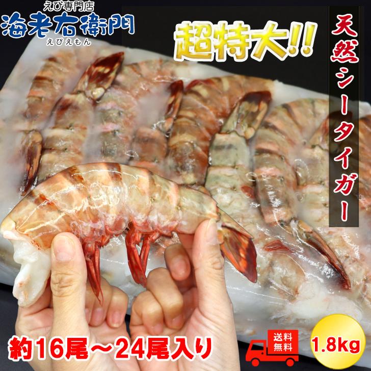 超超超特大サイズ 約16尾〜24尾入り 4/6サイズ 天然シータイガー 無頭えび 1.8kgです。 特大 巨大 高級 天然ブラックタイガー 業務用 |  | 04