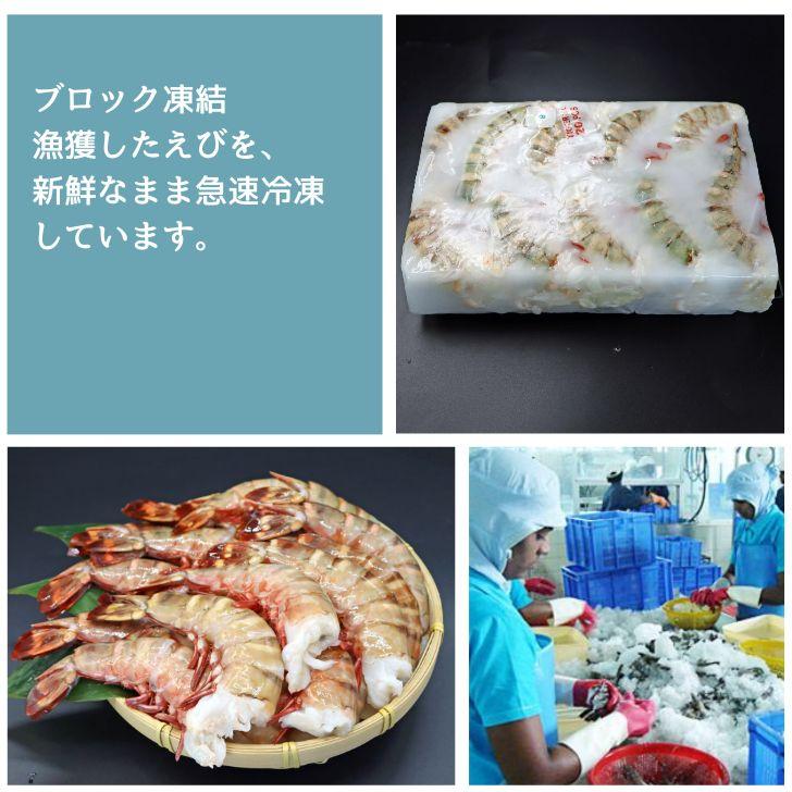 超超超特大サイズ 約16尾〜24尾入り 4/6サイズ 天然シータイガー 超超超特大サイズ 約16尾〜24尾入り 4/6サイズ 天然シータイガー