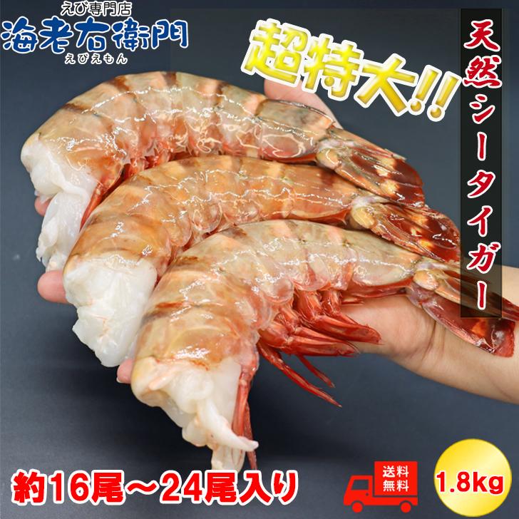 超超超特大サイズ 約16尾〜24尾入り 4/6サイズ 天然シータイガー 無頭えび 1.8kgです。 特大 巨大 高級 天然ブラックタイガー 業務用 |  | 09