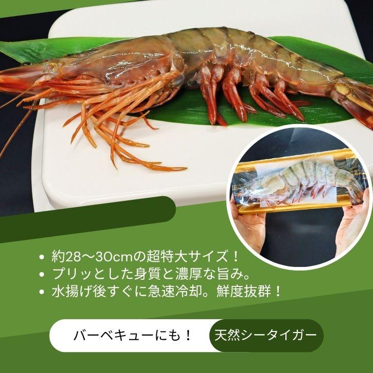 天然シータイガー海老 有頭海老 1尾約190g 超特大 冷凍えび 海老 冷凍 えび エビ BBQ エビフライ 天ぷら 塩焼き 個包装 新登場 |  | 08
