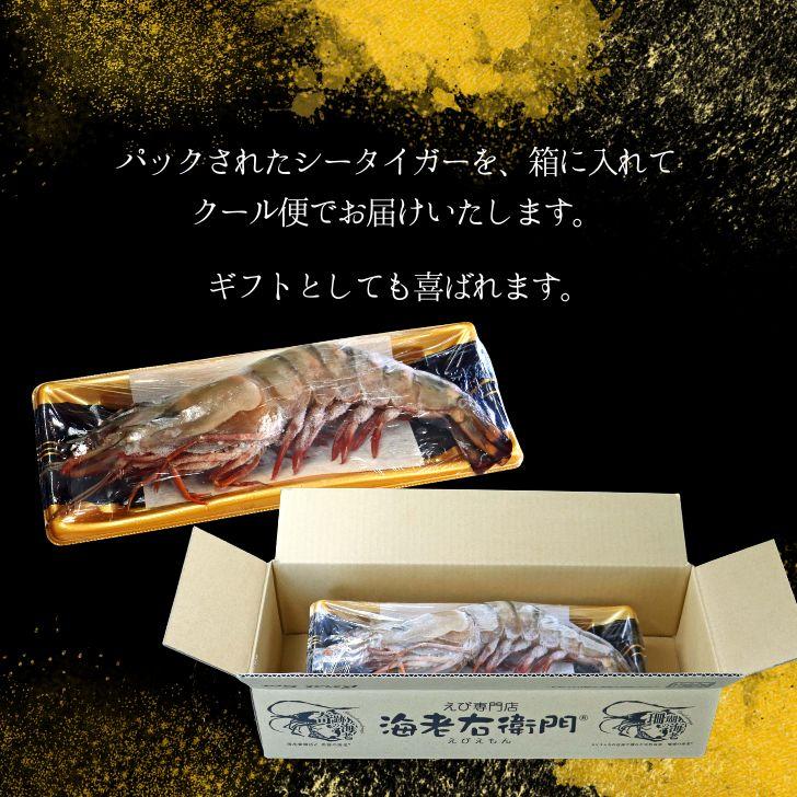 天然シータイガー海老 有頭海老 1尾約190g 超特大 冷凍えび 海老 冷凍 えび エビ BBQ エビフライ 天ぷら 塩焼き 個包装 新登場 |  | 18