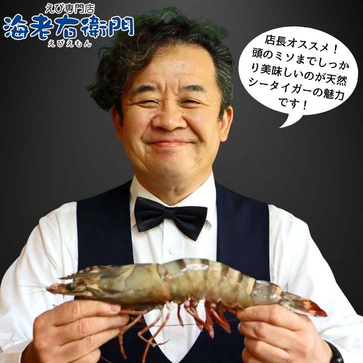 天然シータイガー海老 有頭海老 1尾約190g 超特大 冷凍えび 海老 冷凍 えび エビ BBQ エビフライ 天ぷら 塩焼き 個包装 新登場 |  | 13
