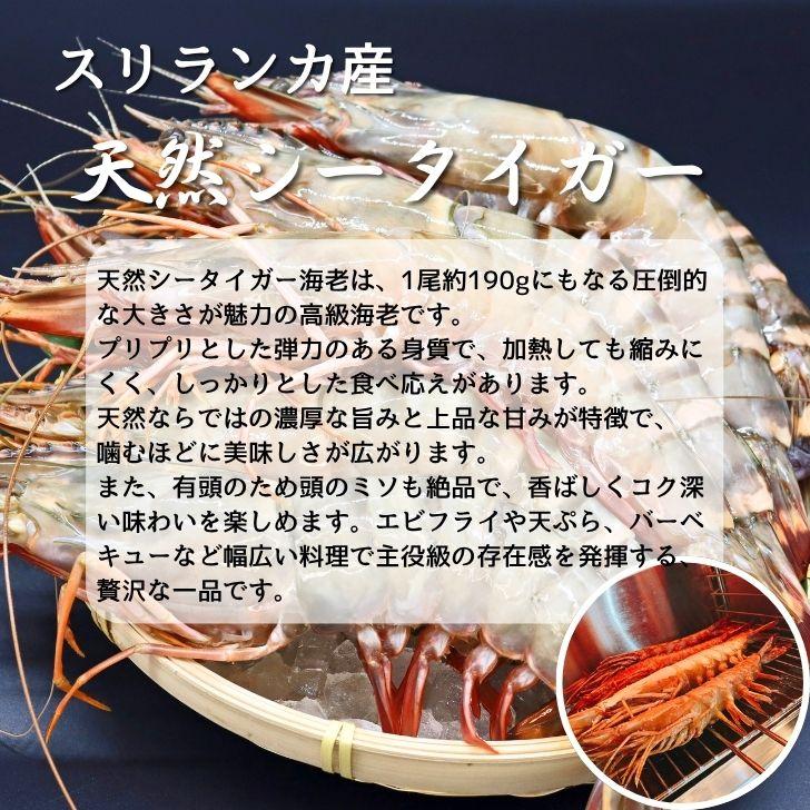 天然シータイガー海老 有頭海老 1尾約190g 超特大 冷凍えび 海老 冷凍 えび エビ BBQ エビフライ 天ぷら 塩焼き 個包装 新登場 |  | 03