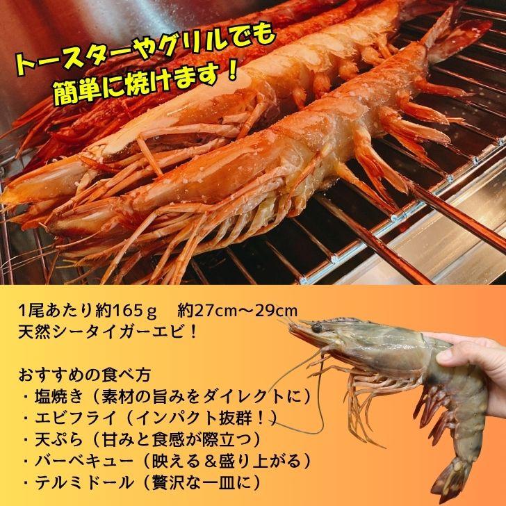 天然シータイガー海老 有頭海老 1尾約165g 超特大 冷凍えび 海老 冷凍 えび エビ BBQ エビフライ 天ぷら 塩焼き 個包装 新登場 |  | 09