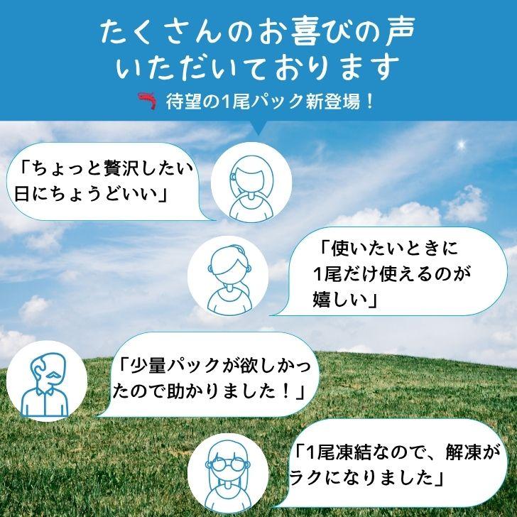 天然シータイガー海老 有頭海老 1尾約165g 超特大 冷凍えび 海老 冷凍 えび エビ BBQ エビフライ 天ぷら 塩焼き 個包装 新登場 |  | 15