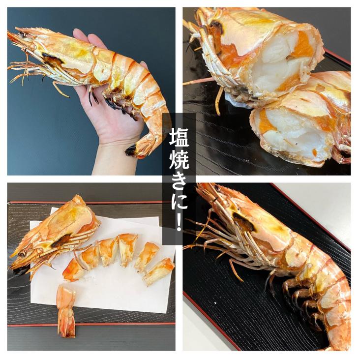 天然シータイガー海老 有頭海老 1尾約165g 超特大 冷凍えび 海老 冷凍 えび エビ BBQ エビフライ 天ぷら 塩焼き 個包装 新登場 |  | 17