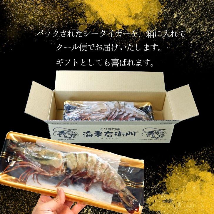 天然シータイガー海老 有頭海老 1尾約165g 超特大 冷凍えび 海老 冷凍 えび エビ BBQ エビフライ 天ぷら 塩焼き 個包装 新登場 |  | 18