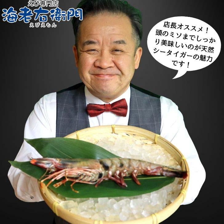 天然シータイガー海老 有頭海老 1尾約165g 超特大 冷凍えび 海老 冷凍 えび エビ BBQ エビフライ 天ぷら 塩焼き 個包装 新登場 |  | 14