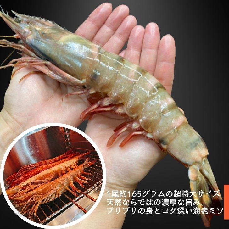 天然シータイガー海老 有頭海老 1尾約165g 超特大 冷凍えび 海老 冷凍 えび エビ BBQ エビフライ 天ぷら 塩焼き 個包装 新登場 |  | 05