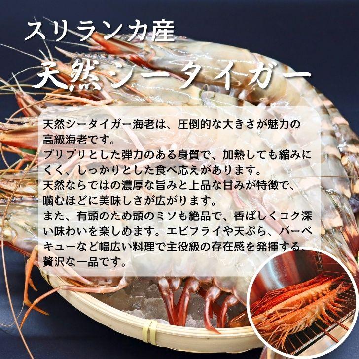 天然シータイガー海老 有頭海老 1尾約165g 超特大 冷凍えび 海老 冷凍 えび エビ BBQ エビフライ 天ぷら 塩焼き 個包装 新登場 |  | 03