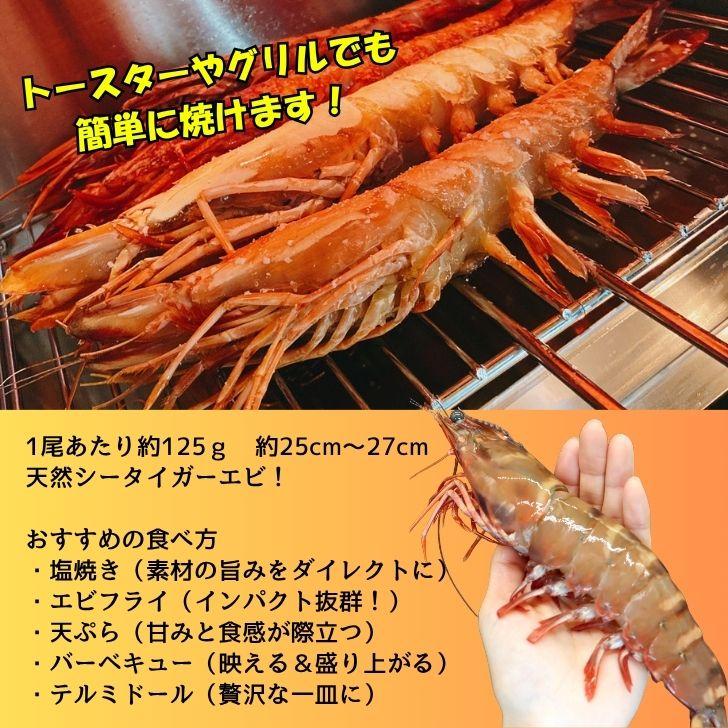 天然シータイガー海老 有頭海老 2尾入 1尾約125g 超特大 冷凍えび 個包装 BBQ エビフライ 天ぷら 塩焼き 新登場 |  | 09