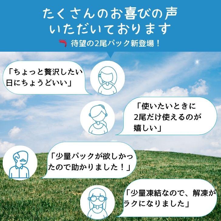 天然シータイガー海老 有頭海老 2尾入 1尾約125g 超特大 冷凍えび 個包装 BBQ エビフライ 天ぷら 塩焼き 新登場 |  | 14