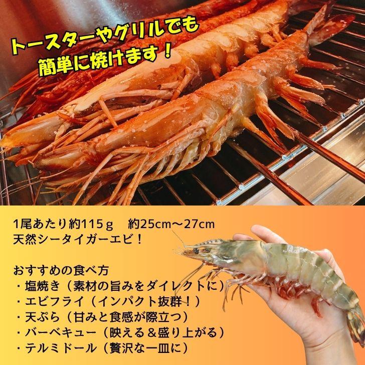 天然シータイガー海老 有頭海老 2尾入 1尾約115g 超特大 冷凍えび 個包装 BBQ エビフライ 天ぷら 塩焼き 新登場 |  | 09