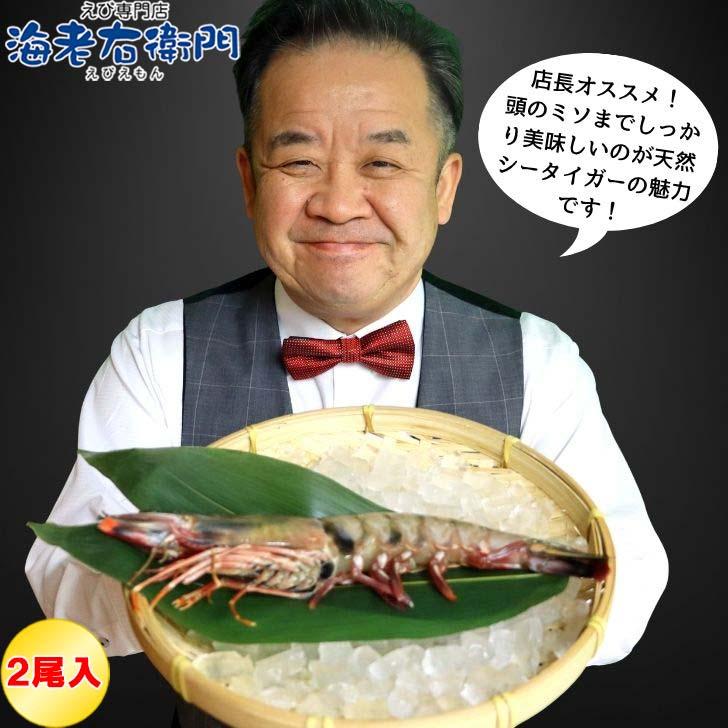 天然シータイガー海老 有頭海老 2尾入 1尾約115g 超特大 冷凍えび 個包装 BBQ エビフライ 天ぷら 塩焼き 新登場 |  | 13