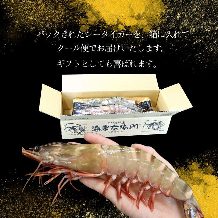 天然シータイガー海老 有頭海老 2尾入 1尾約100g 超特大 冷凍えび 個包装 BBQ エビフライ 天ぷら 塩焼き 新登場 |  | 17
