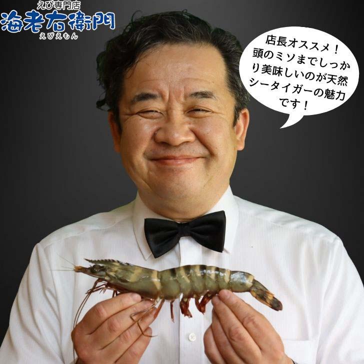 天然シータイガー海老 有頭海老 2尾入 1尾約100g 超特大 冷凍えび 個包装 BBQ エビフライ 天ぷら 塩焼き 新登場 |  | 13