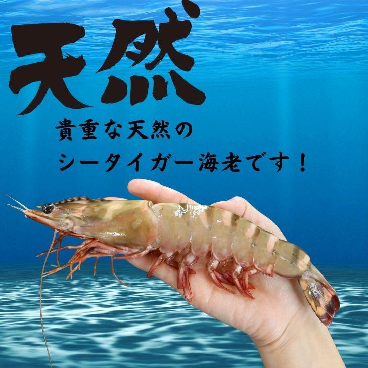 天然シータイガー海老 有頭海老 2尾入 1尾約100g 超特大 冷凍えび 個包装 BBQ エビフライ 天ぷら 塩焼き 新登場 |  | 15