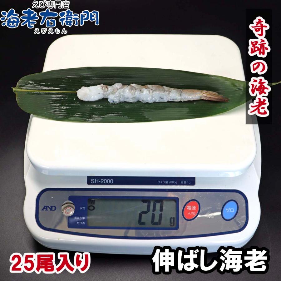 伸ばし海老 16/20 サイズ 25尾 奇跡の海老を使ったのばしえび 手間をかけずに、エビフライ、天ぷらができます！ 約16cmの大型！ 業務用 |  | 09