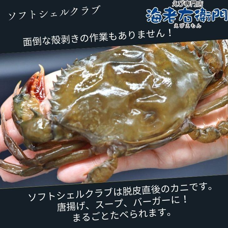 柔らかい殻のカニを丸ごといただく、ソフトシェルクラブ！！1kg 栄養がぎゅっと詰まった脱皮直後のカニを、とても美味しい状態で漁獲しています。 業務用 |  | 10