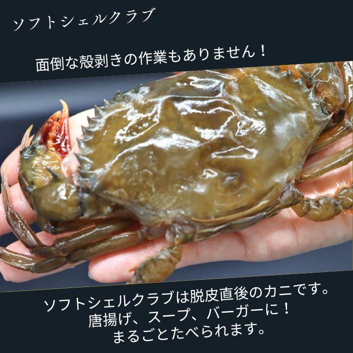 柔らかい殻のカニを丸ごといただく、ソフトシェルクラブ！！1kg 栄養がぎゅっと詰まった脱皮直後のカニを、とても美味しい状態で漁獲しています。 業務用 |  | 16