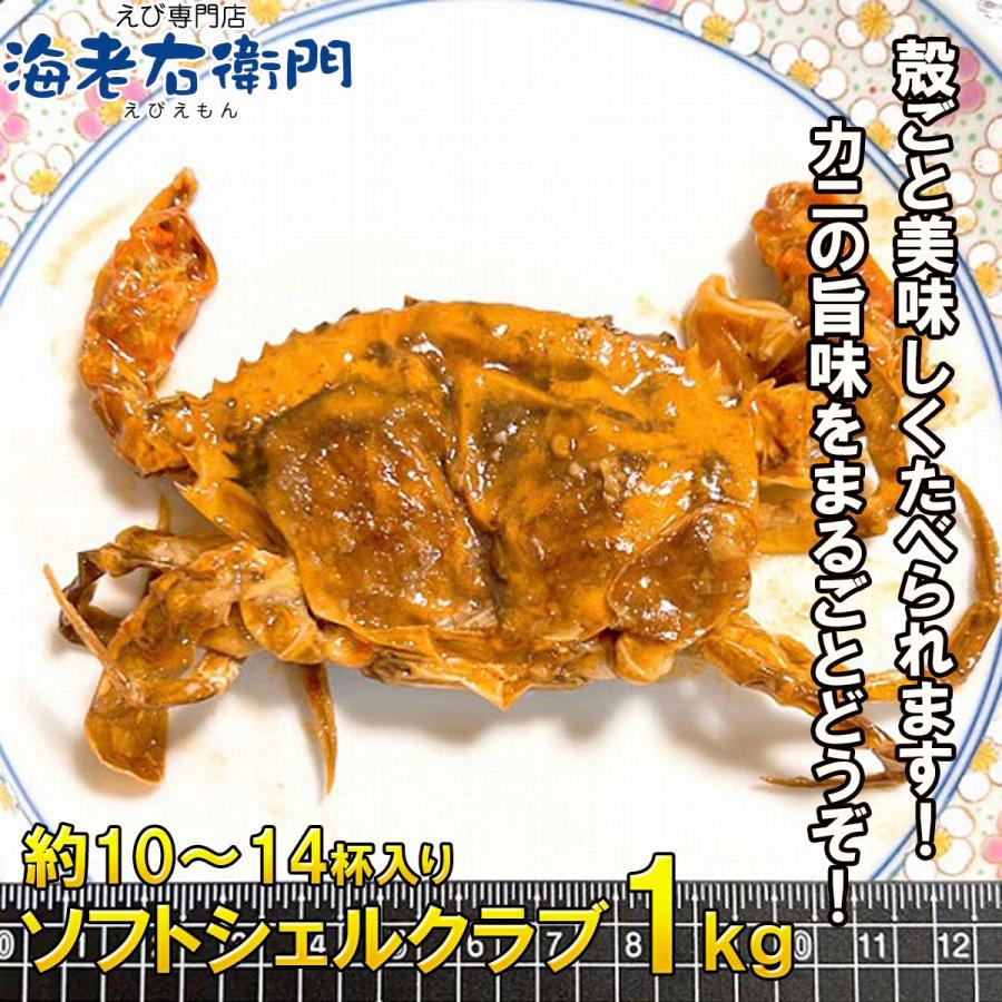 柔らかい殻のカニを丸ごといただく、ソフトシェルクラブ！！1kg 栄養がぎゅっと詰まった脱皮直後のカニを、とても美味しい状態で漁獲しています。 業務用 |  | 07