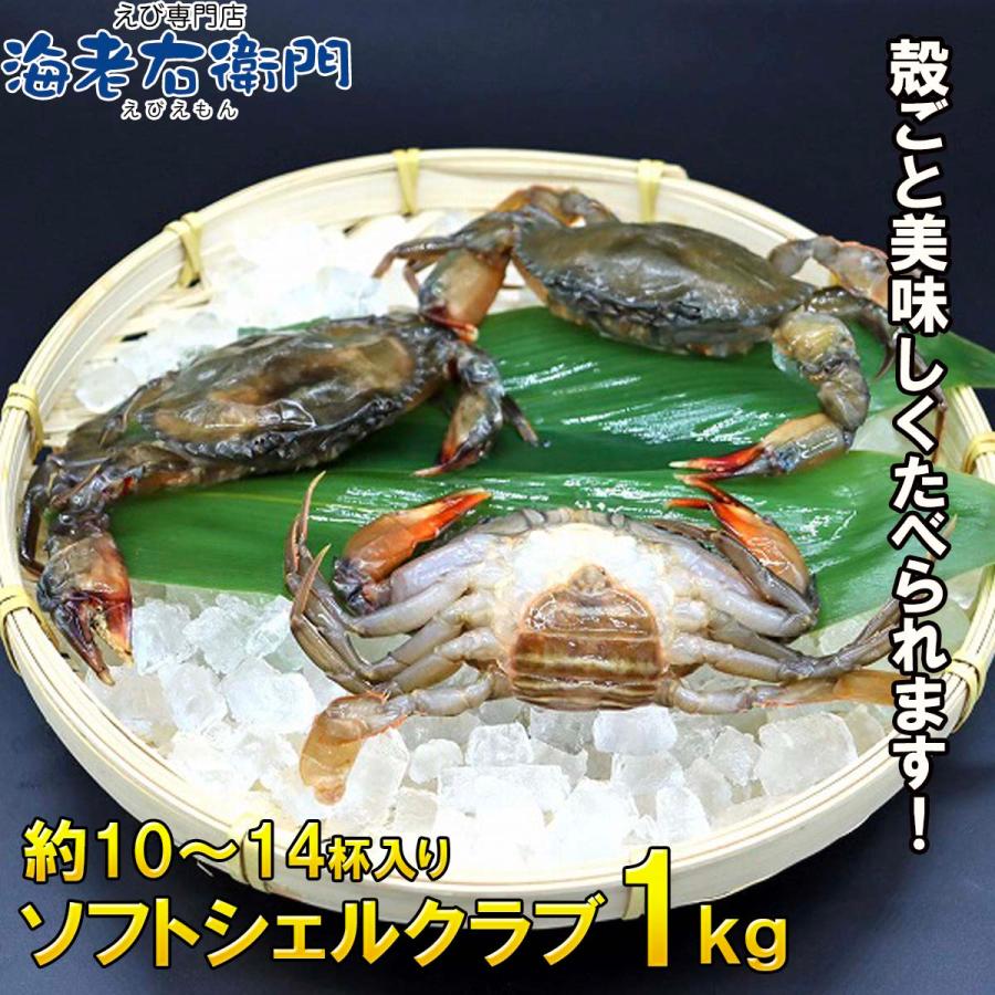 柔らかい殻のカニを丸ごといただく、ソフトシェルクラブ！！1kg 栄養がぎゅっと詰まった脱皮直後のカニを、とても美味しい状態で漁獲しています。 業務用 |  | 08