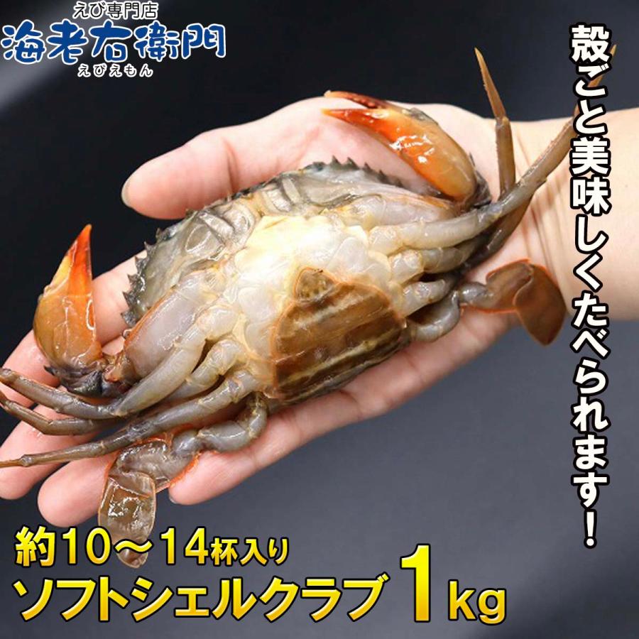 柔らかい殻のカニを丸ごといただく、ソフトシェルクラブ！！1kg 栄養がぎゅっと詰まった脱皮直後のカニを、とても美味しい状態で漁獲しています。 業務用 |  | 09