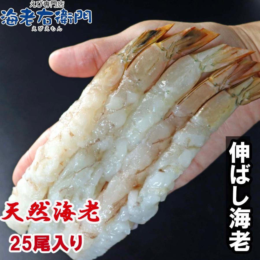 伸ばし海老 25尾 手間をかけずにエビフライ、天ぷらができます 約16cmの大型 天然海老を使用 16/20サイズ のばしえび むきえび 業務用 |  | 06
