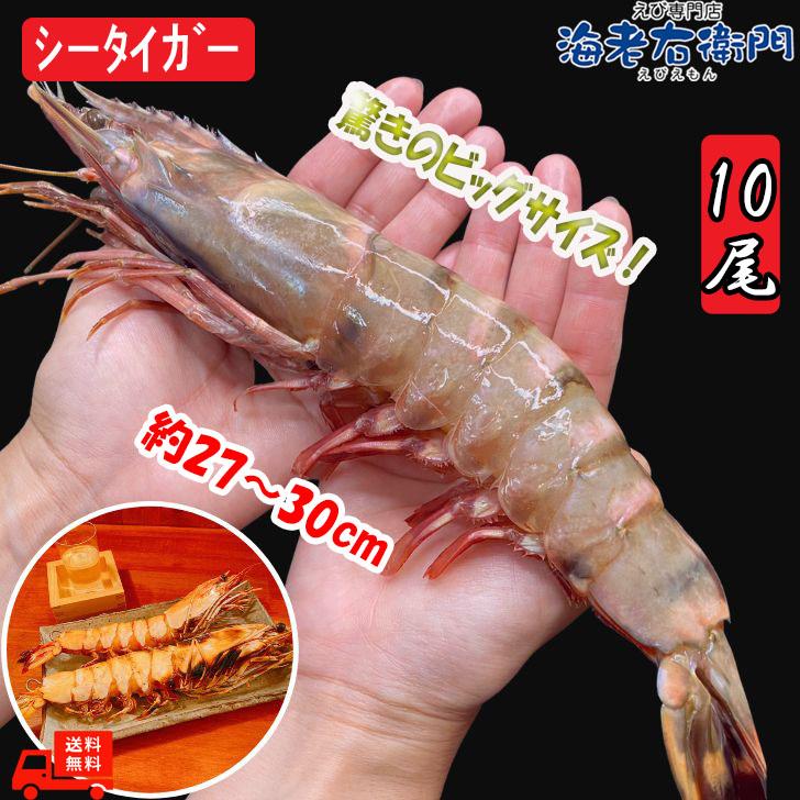 シータイガー 有頭 特大 冷凍エビ 超超特大 船内凍結の高い鮮度 エビ 天然有頭シータイガー 1.5kg 10尾サイズ 海老 冷凍えび 業務用 | 