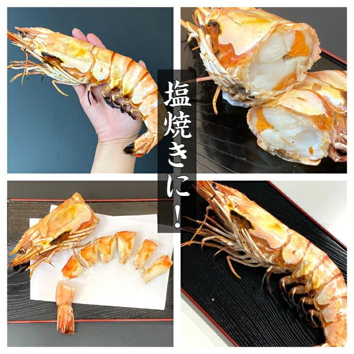 シータイガー 有頭 特大 冷凍エビ 超超特大 船内凍結の高い鮮度 エビ 天然有頭シータイガー 1.5kg 10尾サイズ 海老 冷凍えび 業務用 |  | 10