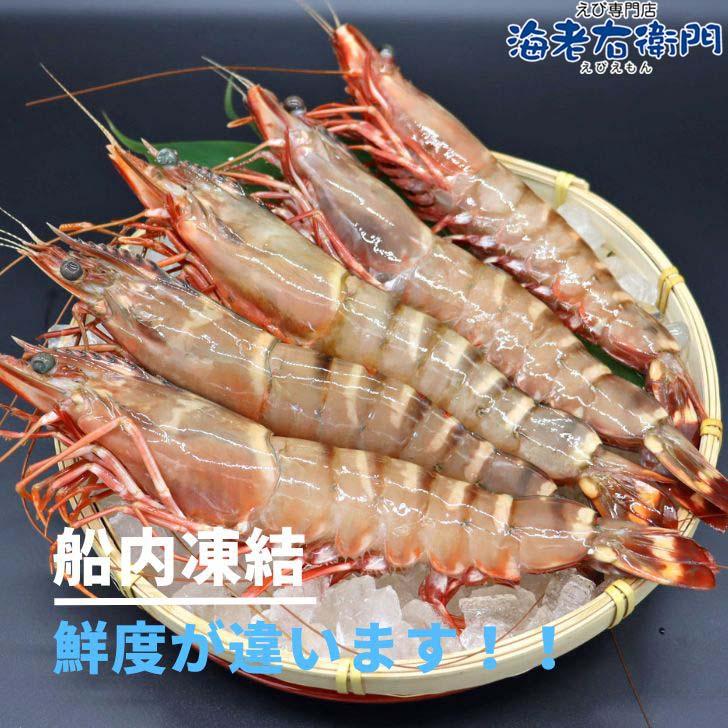 シータイガー 有頭 特大 冷凍エビ 超超特大 船内凍結の高い鮮度 エビ 天然有頭シータイガー 1.5kg 10尾サイズ 海老 冷凍えび 業務用 |  | 03