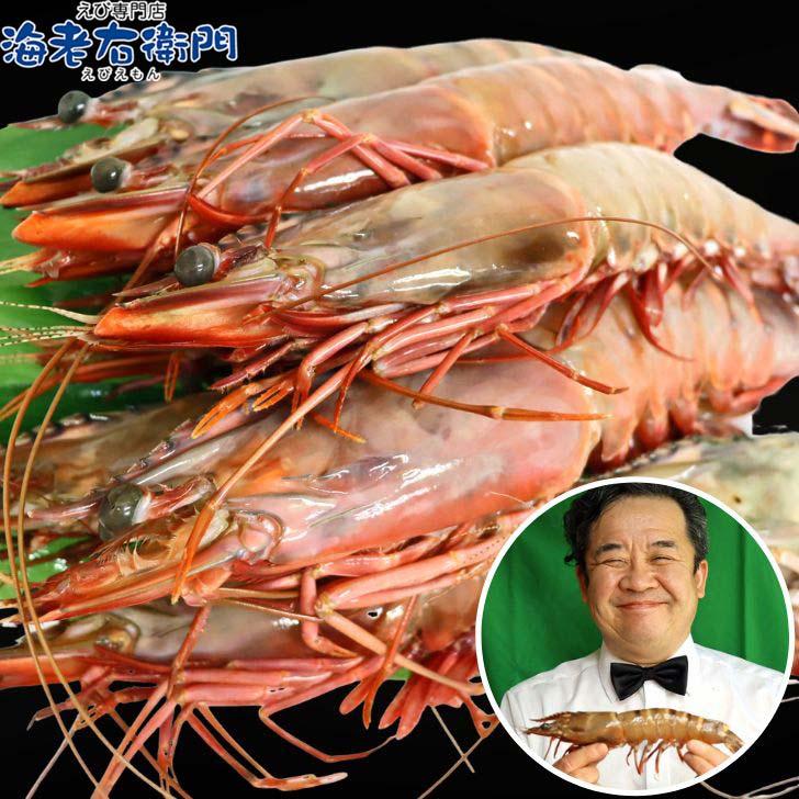 シータイガー 有頭 特大 冷凍エビ 超超特大 船内凍結の高い鮮度 エビ 天然有頭シータイガー 1.5kg 10尾サイズ 海老 冷凍えび 業務用 |  | 04