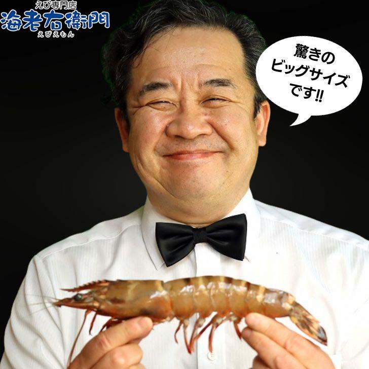 シータイガー 有頭 特大 冷凍エビ 超超特大 船内凍結の高い鮮度 エビ 天然有頭シータイガー 1.5kg 10尾サイズ 海老 冷凍えび 業務用 |  | 05