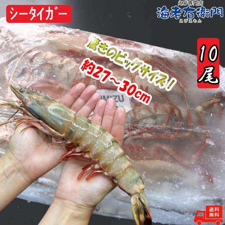 シータイガー 有頭 特大 冷凍エビ 超超特大 船内凍結の高い鮮度 エビ 天然有頭シータイガー 1.5kg 10尾サイズ 海老 冷凍えび 業務用 |  | 06