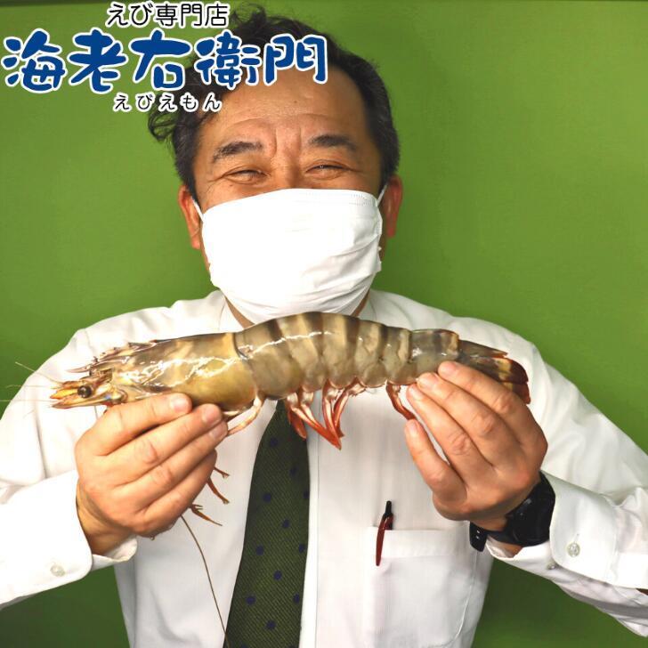 シータイガー 冷凍海老 特大 有頭 冷凍エビ 超特大 1.5kg 6尾 バングラデシュ産船凍結品 高い鮮度 天然有頭シータイガー 海老 エビ 大きい 冷凍えび 業務用 |  | 04