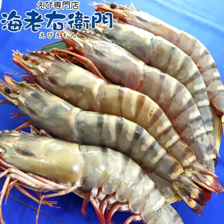 シータイガー 冷凍海老 特大 有頭 冷凍エビ 超特大 1.5kg 6尾 バングラデシュ産船凍結品 高い鮮度 天然有頭シータイガー 海老 エビ 大きい 冷凍えび 業務用 |  | 05