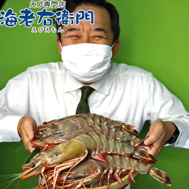 シータイガー 冷凍海老 特大 有頭 冷凍エビ 超特大 1.5kg 6尾 バングラデシュ産船凍結品 高い鮮度 天然有頭シータイガー 海老 エビ 大きい 冷凍えび 業務用 |  | 06