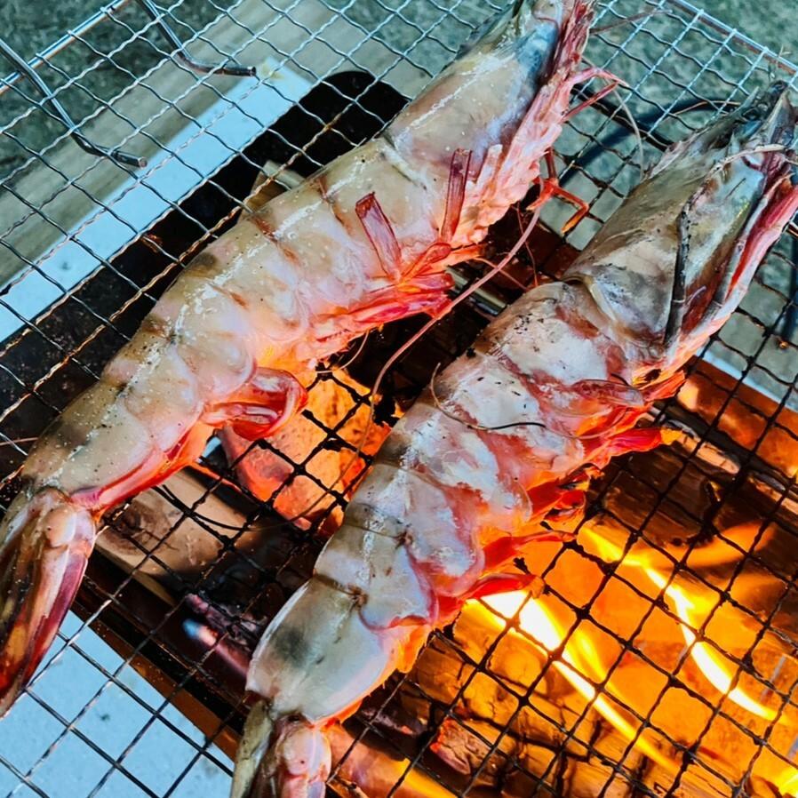 シータイガー 冷凍海老 特大 有頭 冷凍エビ 超特大 1.5kg 6尾 バングラデシュ産船凍結品 高い鮮度 天然有頭シータイガー 海老 エビ 大きい 冷凍えび 業務用 |  | 08