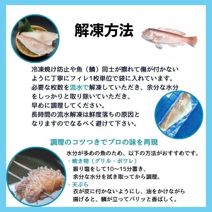 【高級魚】釣り白甘鯛フィレ 鱗付き 2kg 1フィレ約250g〜400g 鮮度抜群 甘鯛フィレ シロアマダイ しろあまだいあまだい 白アマダイ 甘鯛 白甘鯛 フィレ 業務用 |  | 11