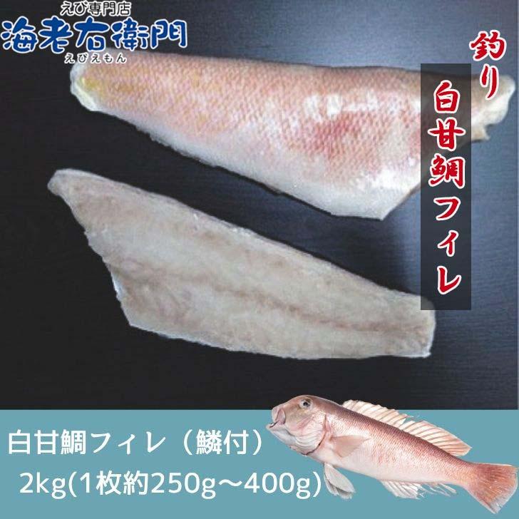 【高級魚】釣り白甘鯛フィレ 鱗付き 2kg 1フィレ約250g〜400g 鮮度抜群 甘鯛フィレ シロアマダイ しろあまだいあまだい 白アマダイ 甘鯛 白甘鯛 フィレ 業務用 |  | 07