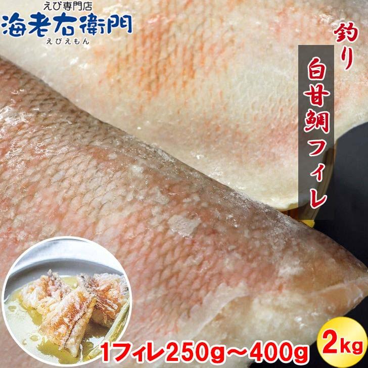 【高級魚】釣り白甘鯛フィレ 鱗付き 2kg 1フィレ約250g〜400g 鮮度抜群 甘鯛フィレ シロアマダイ しろあまだいあまだい 白アマダイ 甘鯛 白甘鯛 フィレ 業務用 |  | 10
