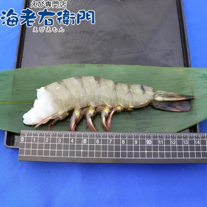 超特大サイズ 約32〜48本入り 8/12サイズ 活〆ブラックタイガー 無頭えび 900g×2で1.8kg 900ｇ（約16-24尾）ずつ解凍できます！ 業務用 |  | 04