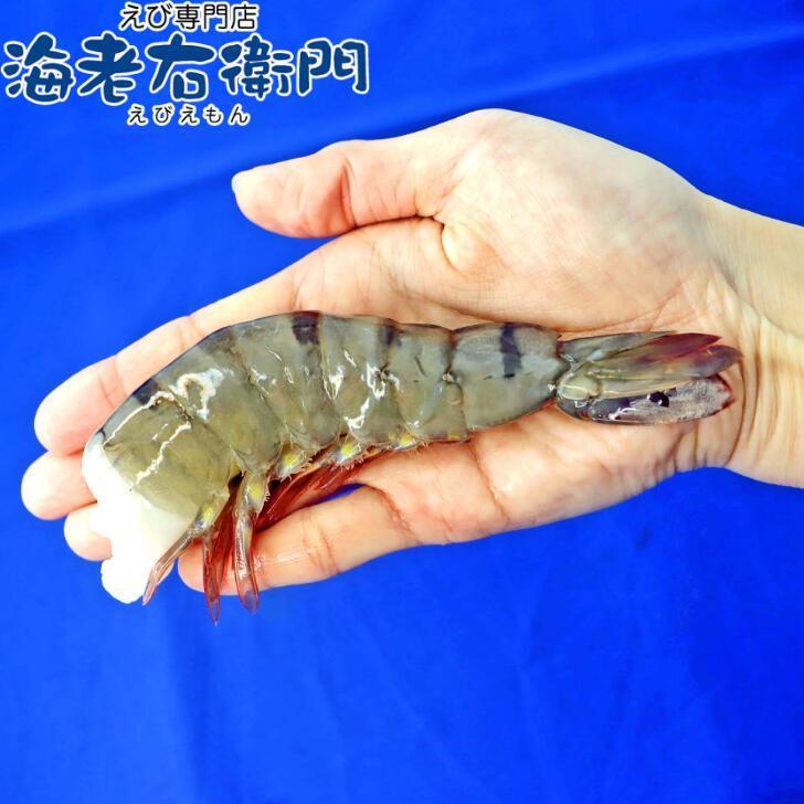 超特大サイズ 約32〜48本入り 8/12サイズ 活〆ブラックタイガー 無頭えび 900g×2で1.8kg 900ｇ（約16-24尾）ずつ解凍できます！ 業務用 |  | 05