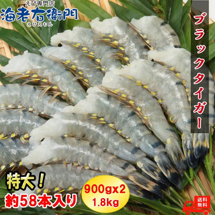 ブラックタイガー 特大サイズ 約58本入り 活〆ブラックタイガー 無頭えび 900g×2 1.8kg 13/15 冷凍えび 海老 エビフライ 美味しい海老 冷凍えび 業務用 | 