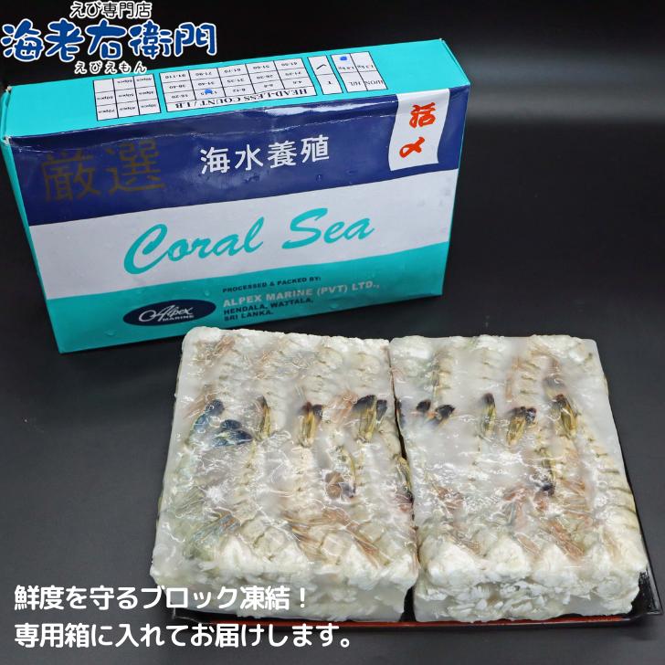 鮮度抜群！美味しい海老 活〆ブラックタイガー 無頭えび 特大サイズ 約64本〜80本入り 16/20サイズ 冷凍エビ えび  美味しいエビフライ 業務用 |  | 07