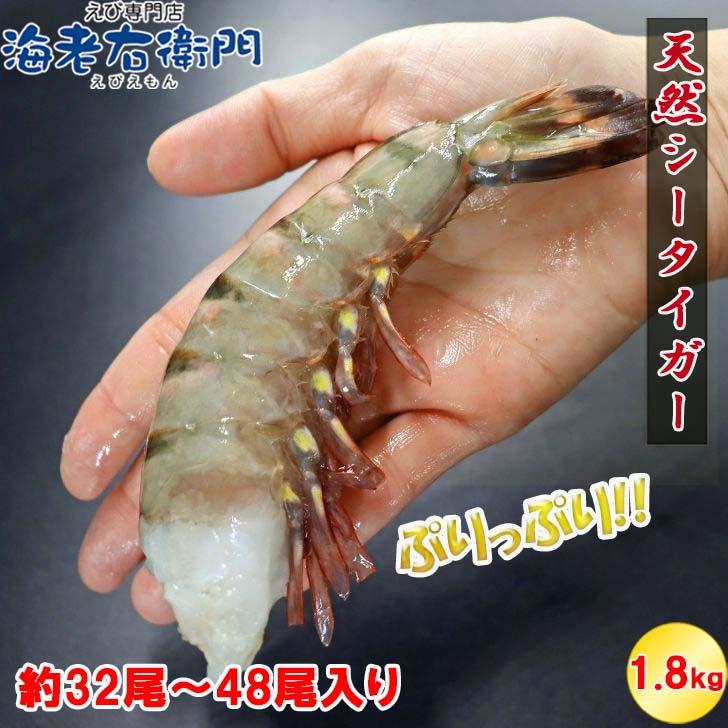 超特大 8/12サイズ 約32尾〜48尾入り 天然 シータイガー 無頭えび 900g×2で1.8kg 特大 エビ 大エビ 冷凍  海老フライ 天ぷら 海鮮 焼き bbq食材  業務用 |  | 02