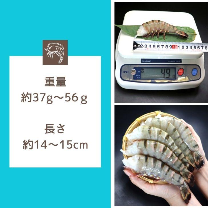 超特大 8/12サイズ 約32尾〜48尾入り 天然 シータイガー 無頭えび 900g×2で1.8kg 特大 エビ 大エビ 冷凍  海老フライ 天ぷら 海鮮 焼き bbq食材  業務用 |  | 04